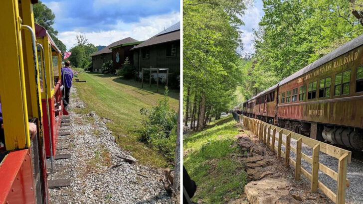 These Scenic Train Rides In North Carolina Show Off The State&rsquo;s Most Beautiful Landscapes