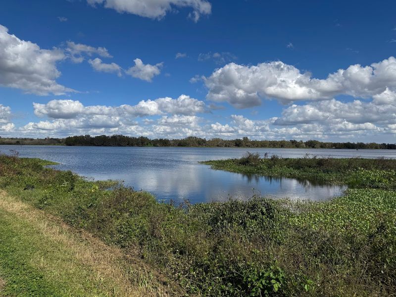 A 1,267-Acre Wild Florida Escape