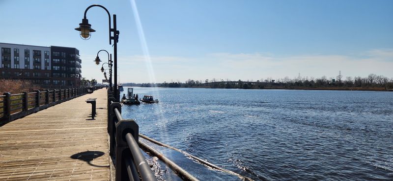 A Scenic Stretch Along the Cape Fear River