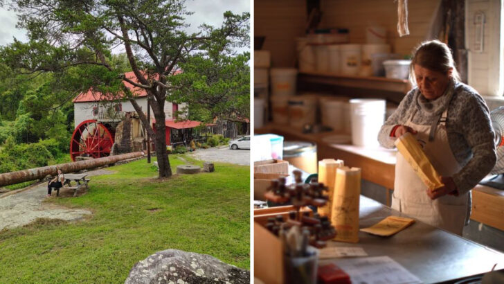 This 250-Year-Old Mill in North Carolina Still Grinds Grain and Serves Beloved Sweet Potato Muffins