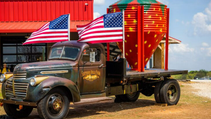 This 330-Acre Family Farm in Georgia Lets You Pick Strawberries, Watch Pig Races, and Live a Full Country Day
