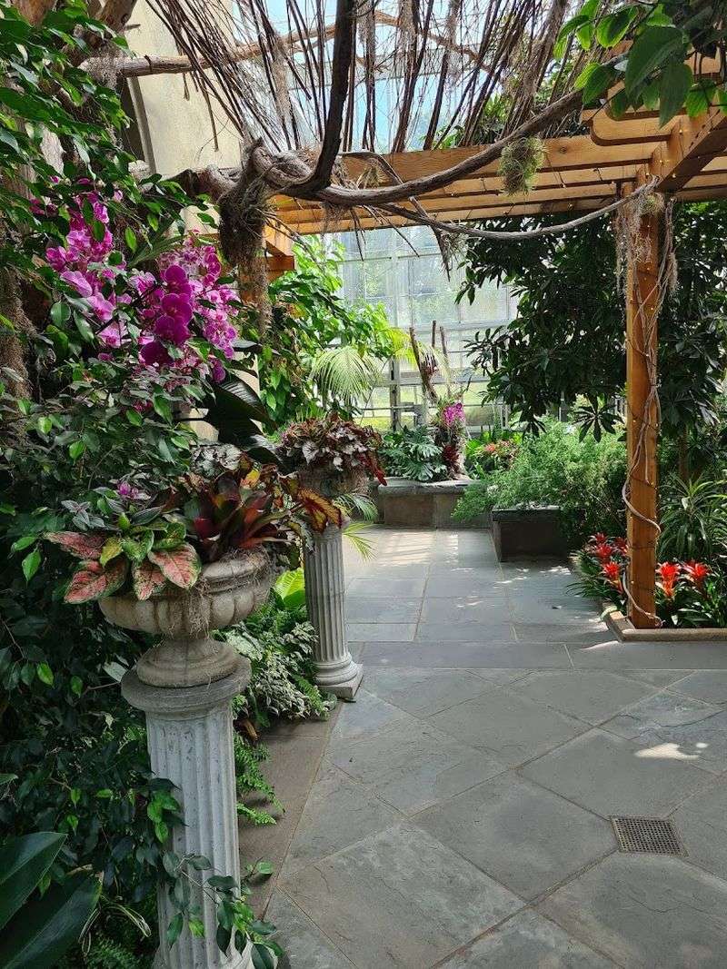 The Spectacular Orchid Conservatory