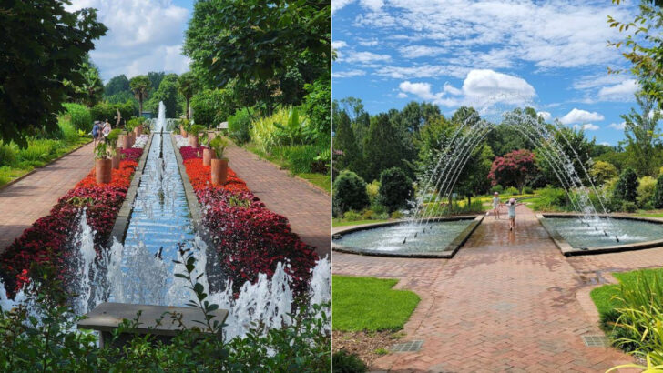 This 380-Acre Garden in North Carolina Is Home to One of the State&rsquo;s Most Impressive Orchid Displays
