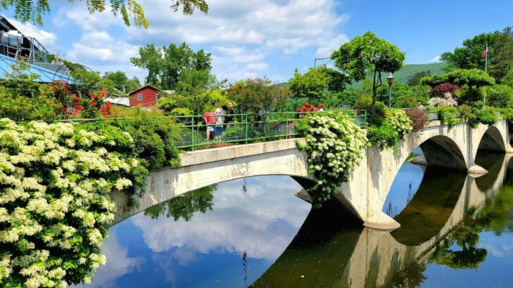 This 400-Foot Stone Bridge in Massachusetts Transforms Into a Flower-Filled Path People Return to Every Year
