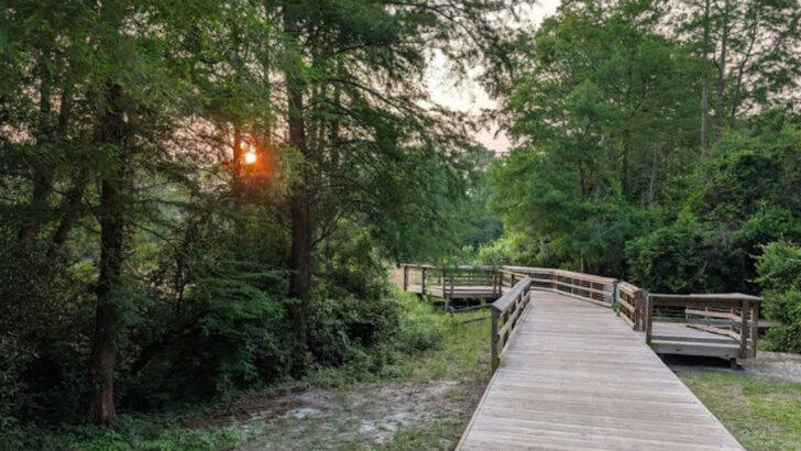 This 58-Acre Nature Park in North Carolina Is a Favorite Spot for Easy Woodland Walks