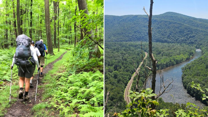 This 70-Mile Pennsylvania Trail Turns A Casual Day Into Waterfalls, Ridge Views, And A Real Mountain Hike