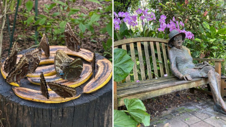 This 83-Acre Tropical Garden in Miami Has Rare Orchids, a Butterfly Pavilion, and a Canopy Walk That Makes You Forget You&rsquo;re in a City