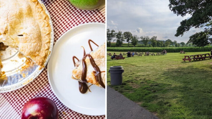 This Breakfast Spot in Pennsylvania Still Makes Funny Cake the Old-Fashioned Way—and It’s Worth The Drive
