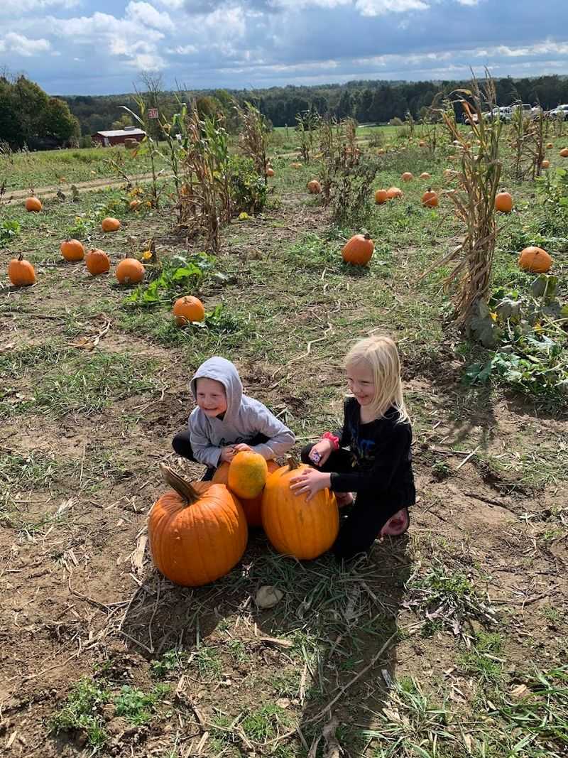 The Legendary Pumpkin Patch and Pumpkin Slingshot