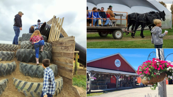 This Charming Ohio Farm Feels Like a Sweet Escape From the Everyday
