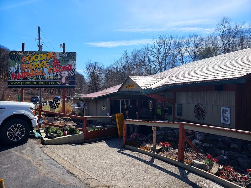 A Roadside Attraction With Decades of History