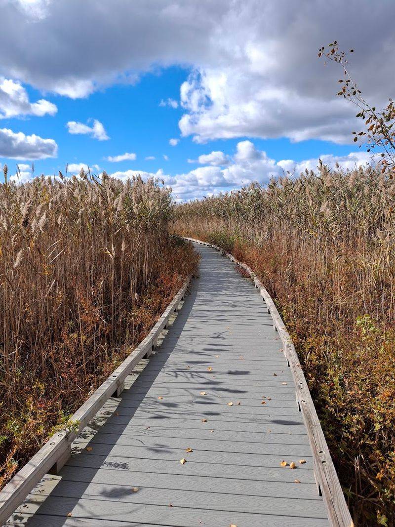 A Boardwalk Trail That Actually Lives Up to Its Name