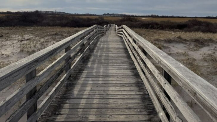 This Coastal Massachusetts Boardwalk Trail Is One of the Most Relaxing Walks in the State