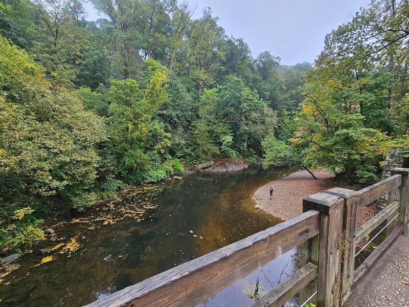 Forbidden Drive: The Heart of the Park