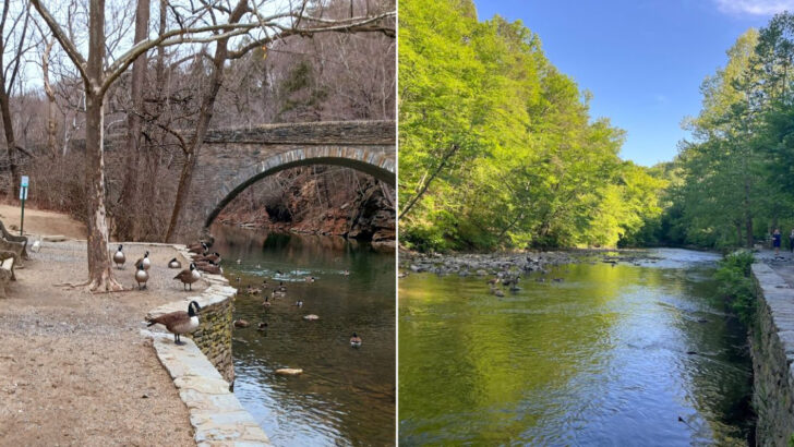 This Creekside Trail in Pennsylvania Is One of the State&rsquo;s Most Peaceful Walks