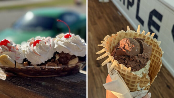 This Family Dairy Farm In North Carolina Makes The Creamiest Ice Cream You&rsquo;ll Ever Taste From Their Own Jersey Cows