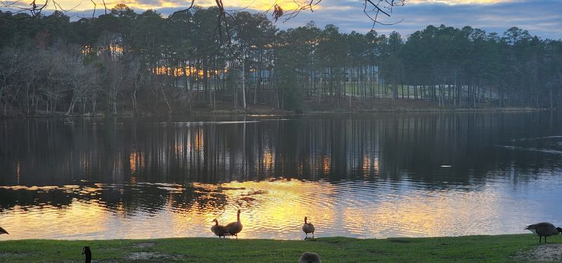 A Local Park That Does More Than You'd Expect