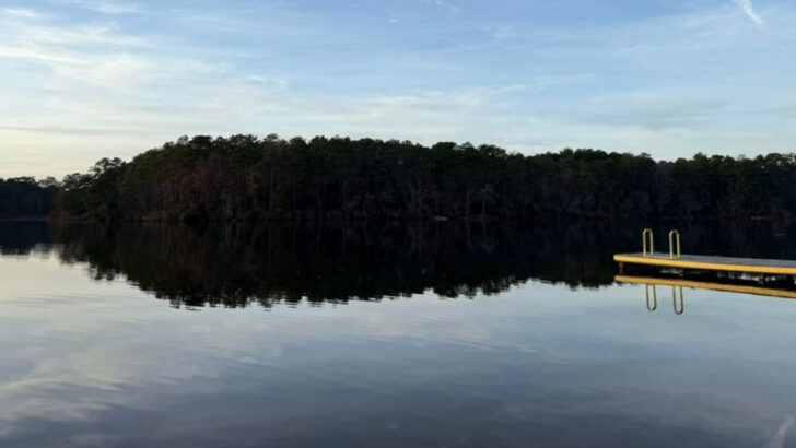 This Family-Friendly Park in North Carolina Offers Wetland Boardwalks and Creekside Trails