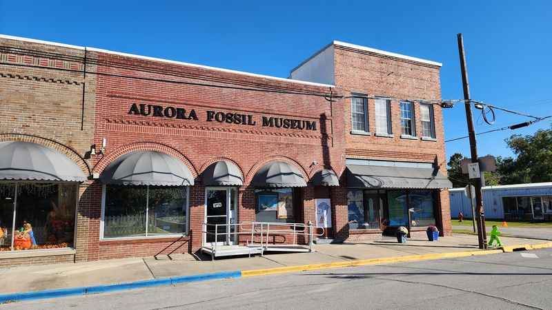 A Small-Town Museum with a Big Prehistoric Story