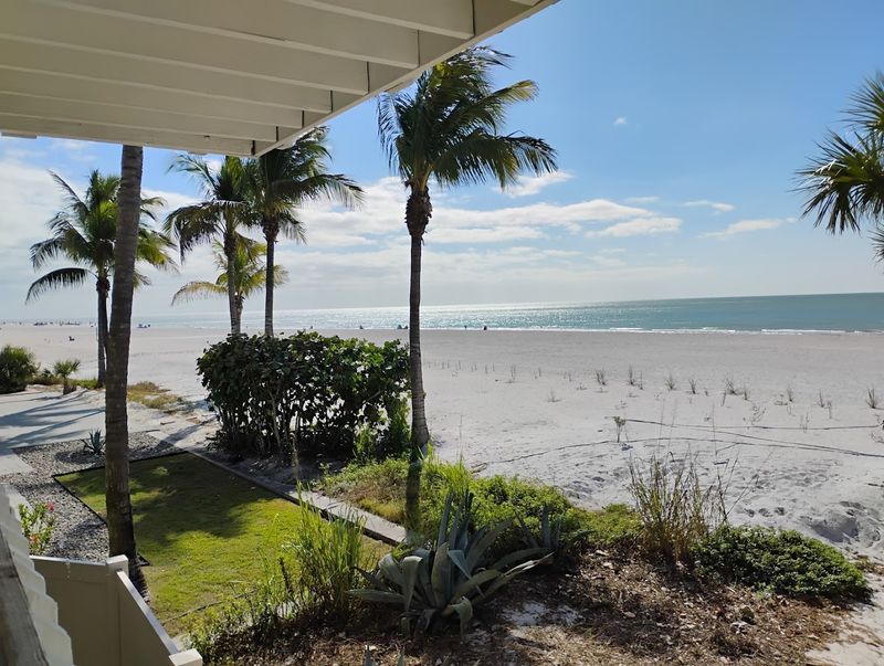 A Coastal Wildlife Rescue Hidden Along Gulf Boulevard
