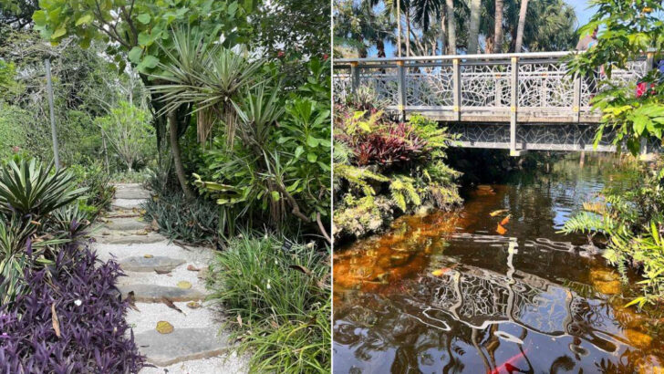 This Florida Botanical Garden Packs Thousands Of Tropical Plants Into One Colorful Walk