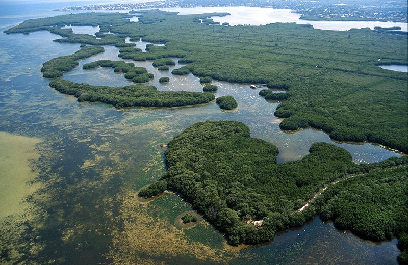 A 3,000+ Acre Coastal Wilderness Hidden in Plain Sight