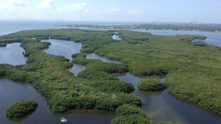 This Florida Preserve Packs 3,000 Acres of Untouched Coastline Into a Spot Most People Drive Right Past