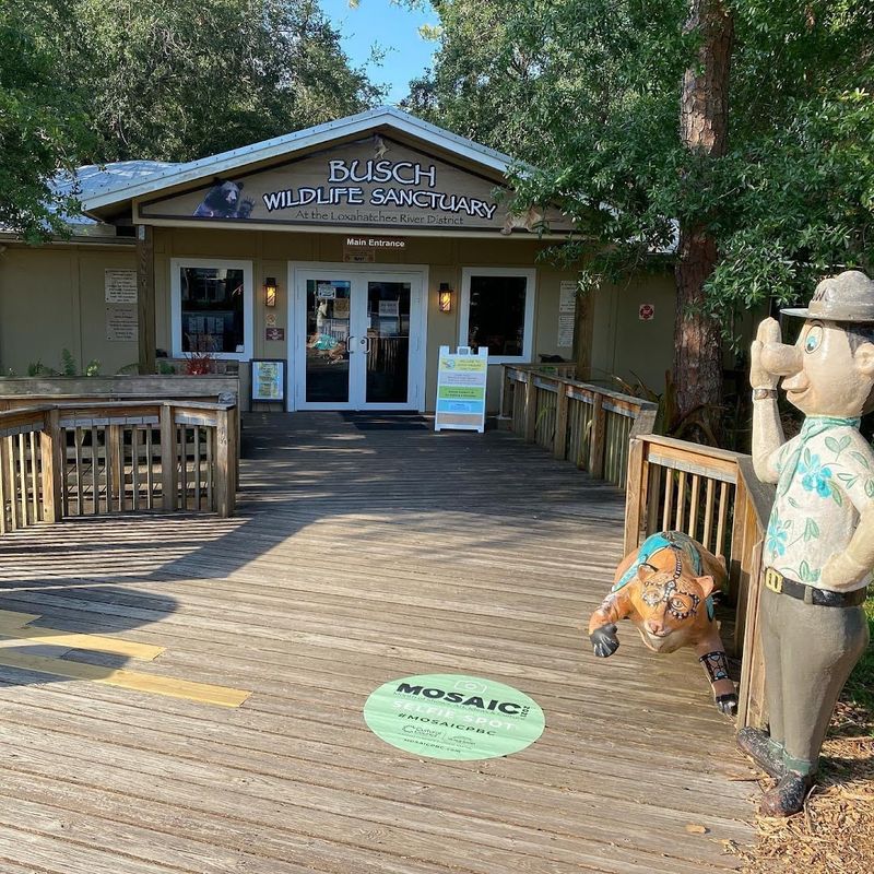 What Is Busch Wildlife Sanctuary?