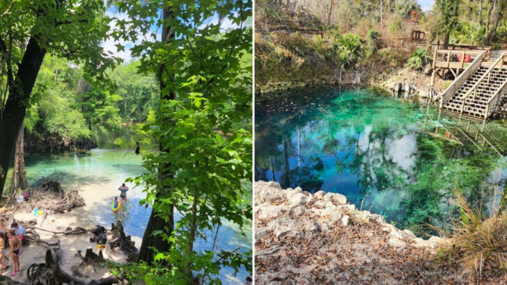 This Florida Spring Has Cave Diving, Paddling, Swimming & Crystal-Clear Water In One Easy Day Trip
