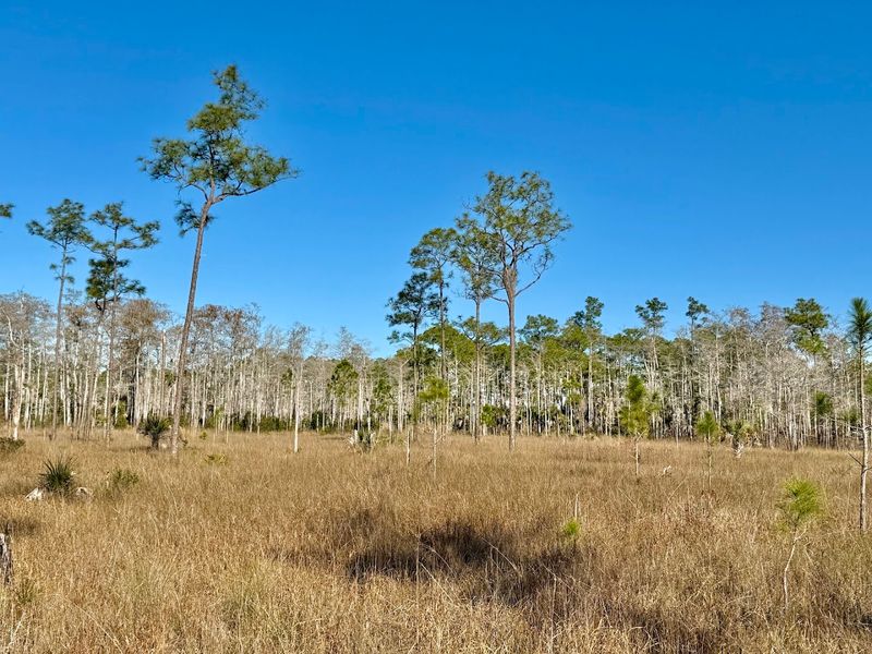 A Rare Wildlife Crossroads in South Florida