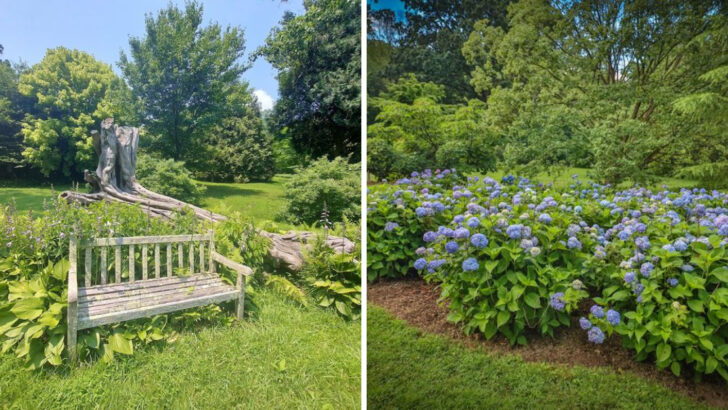 This Free Pennsylvania Garden Packs 4,000 Plant Species Into One Peaceful Woodland Escape