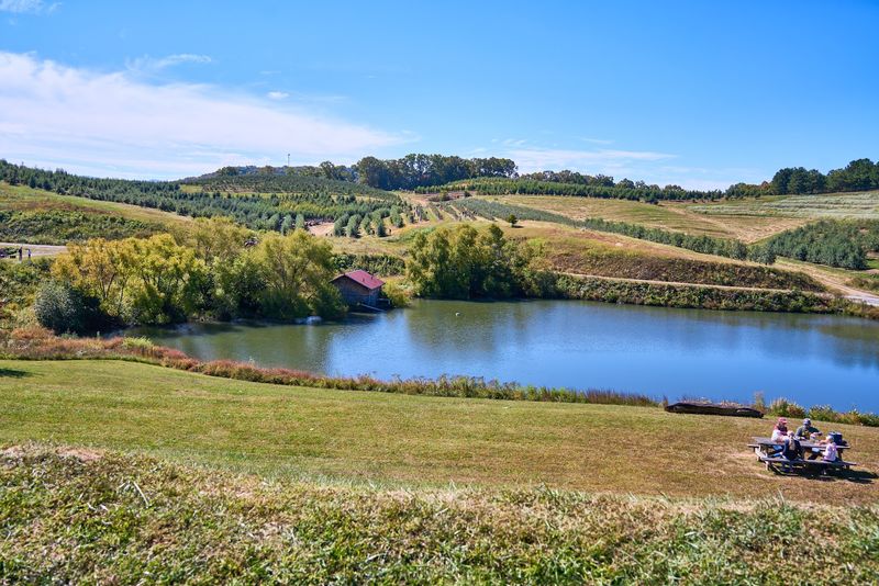 A Fourth-Generation Farm With Deep North Georgia Roots