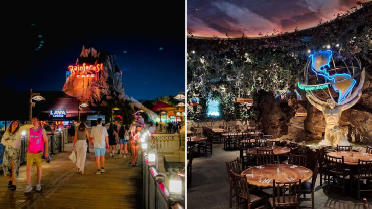 This Jungle-Themed Restaurant in Florida Has Indoor Rainstorms and Lifelike Animals Moving Around Your Table