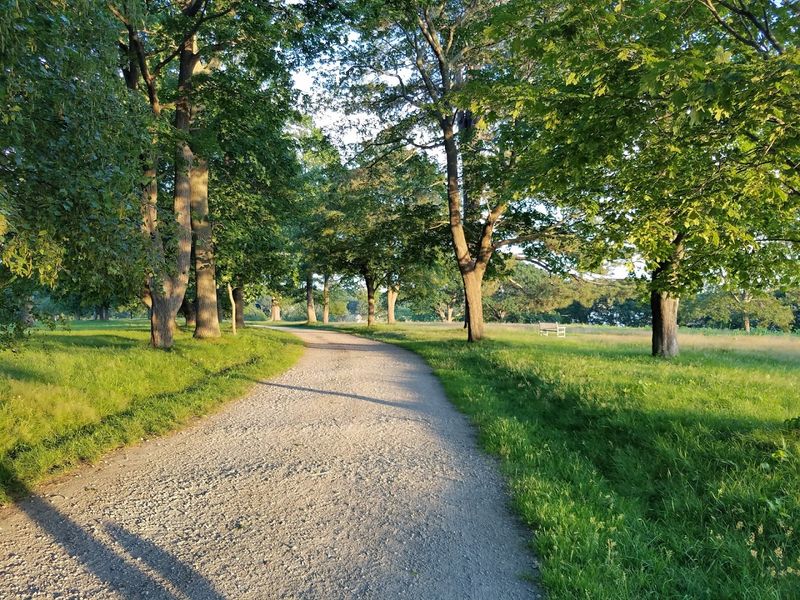 The 4.5 Miles of Trails at World's End