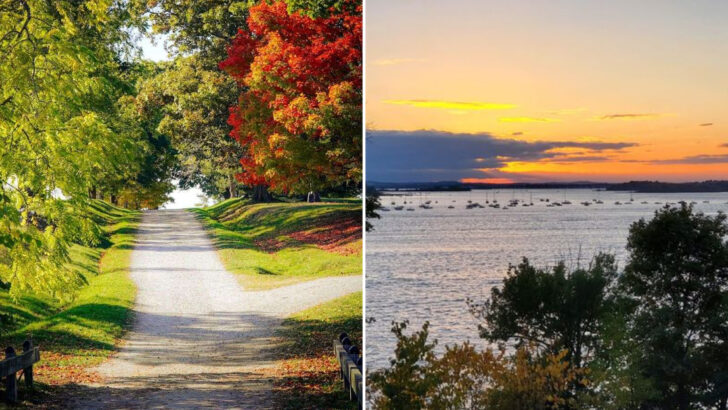 This Massachusetts Coastal Escape Offers 4.5 Miles of Trails and Sweeping Harbor Views