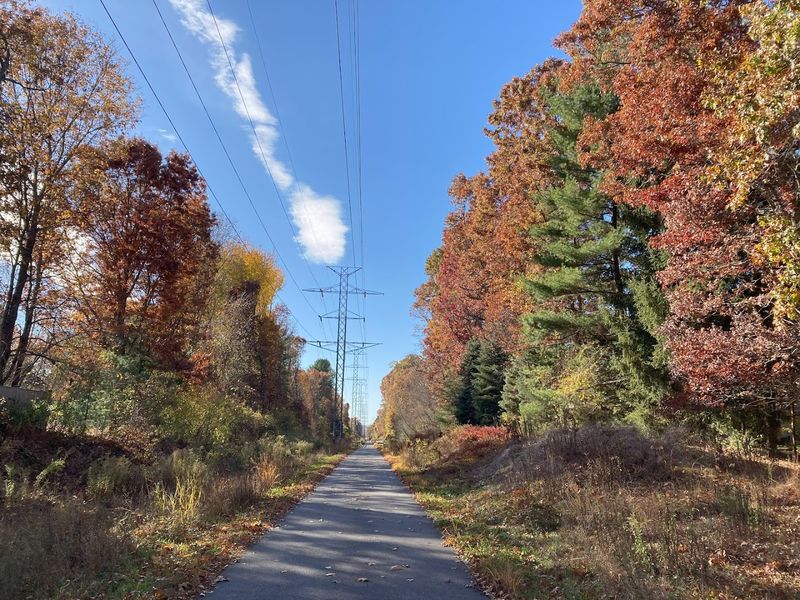 Linden Street Access - Waltham