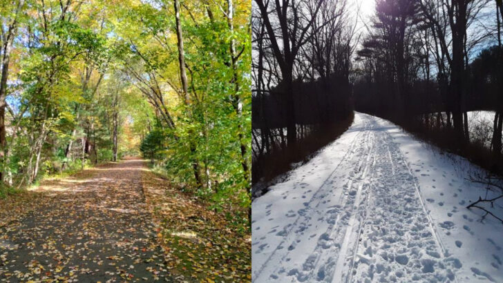 This Massachusetts Rail Trail Might Be The Best Biking And Walking Path You Haven&rsquo;t Tried Yet
