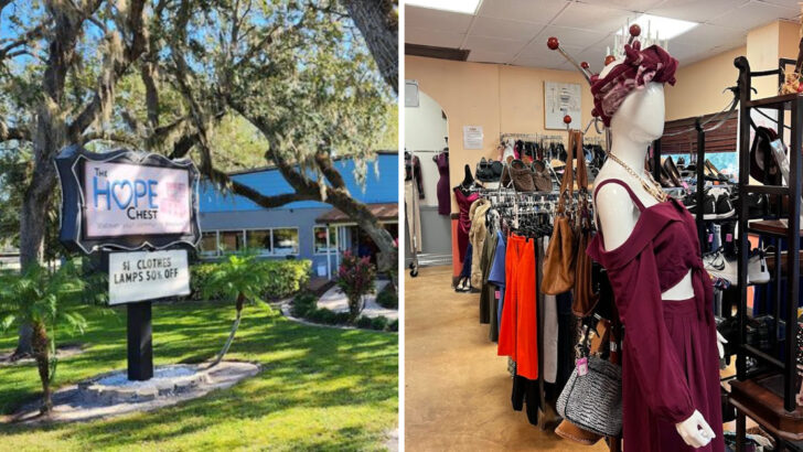 This Massive Florida Thrift Store Is The Kind Of Place Where Just Browsing Turns Into A Full Trunk