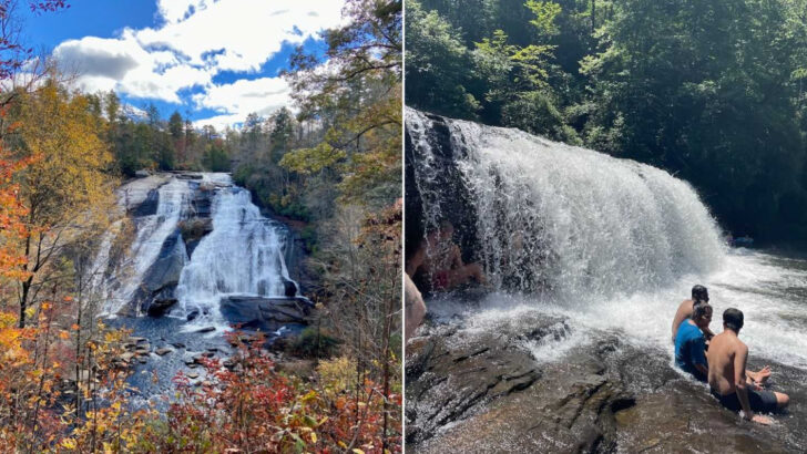 This North Carolina Forest Has Four Waterfalls Within Walking Distance and One of Them Was in the Hunger Games