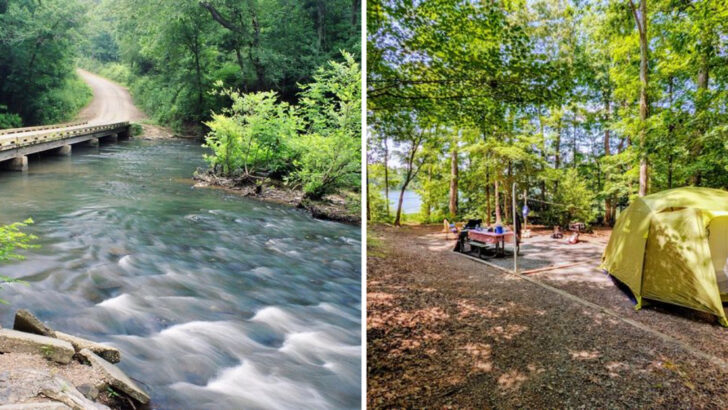 This North Carolina Forest Turns Ancient Mountains, Quiet Trails, And Rolling Ridges Into A Different Kind Of Day Trip