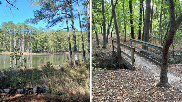 This North Carolina Nature Center Is a Family Favorite for Trails, Wildlife, and Outdoor Fun