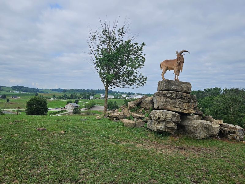 A Hidden Gem in Amish Country