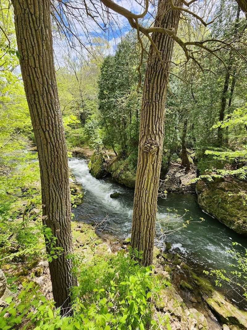 Start With the Gorge Overlooks Near Clifton