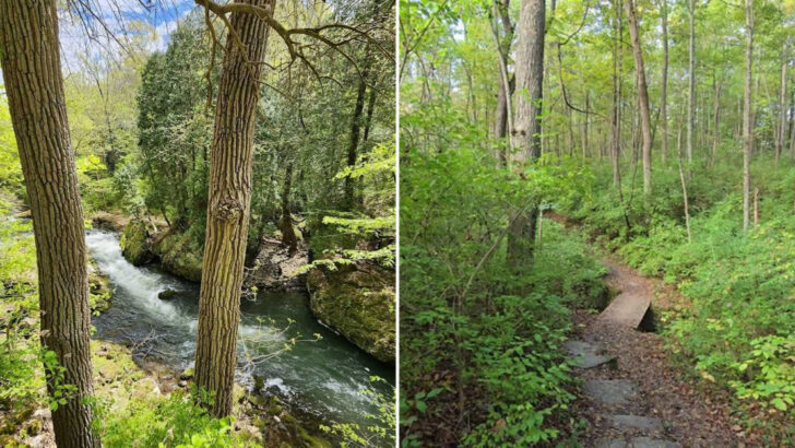 This Ohio Nature Preserve Has Narrow Trails, Rocky Cliffs, And Some Of The State&rsquo;s Most Dramatic Water Views