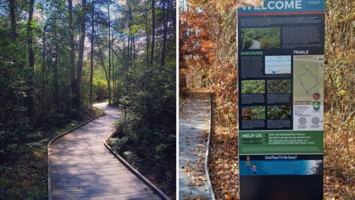 This Ohio Nature Preserve Offers a Glimpse of a Landscape Left Behind by the Last Ice Age