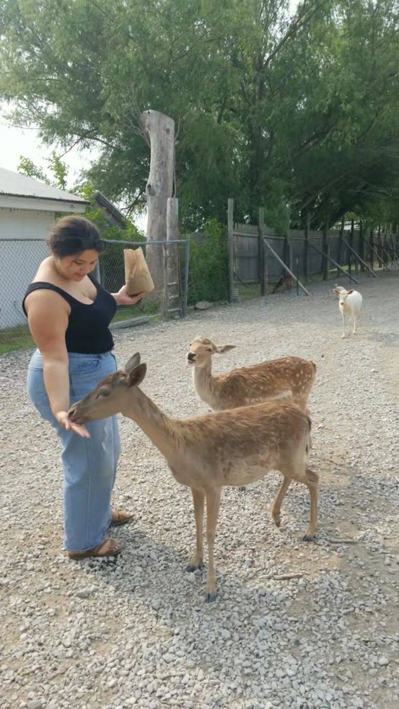 The First Few Minutes Feel Wildly Personal