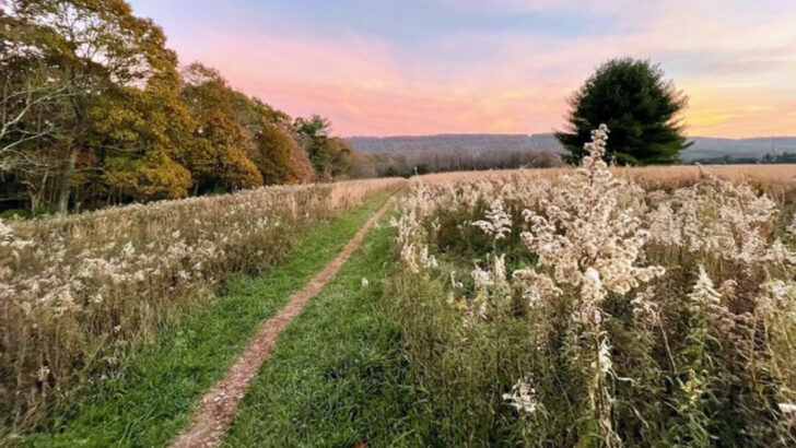 This Overlooked State Park In Pennsylvania Feels Like A Lost Corridor Of Forest Trails, Fossils, And Canal Ruins