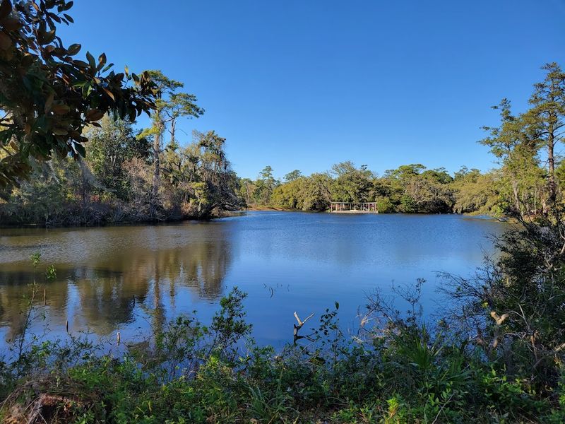 A Historic Coastal Estate Turned Public Garden