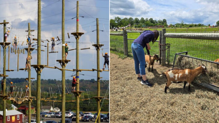 This Pennsylvania Adventure Farm Turns A Country Outing Into A Full Day Of Climbing, Slides, Animals, And Fresh Air