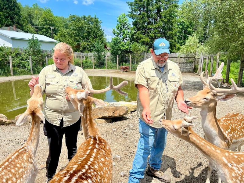 Hand-Feeding Animals Up Close